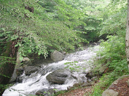 성주산자연휴양림